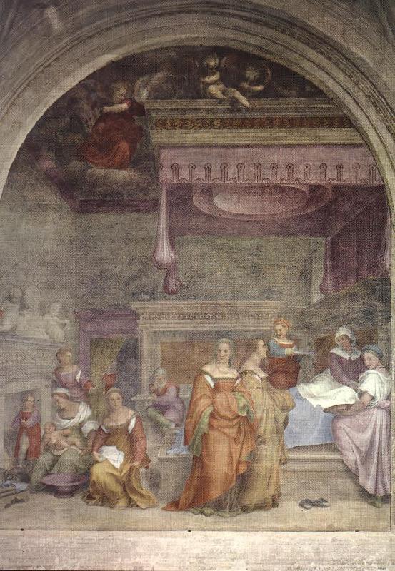 Andrea del Sarto Birth of the Virgin  gfg oil painting image